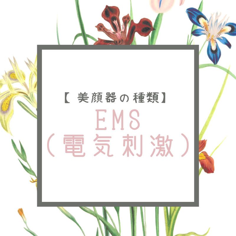 【美顔器の種類】EMS(電気刺激)♪︎